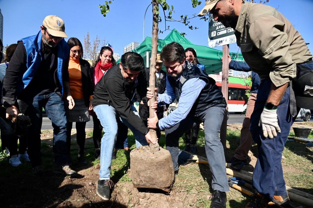 Governor Orrego plants tree as crowd looks on. 