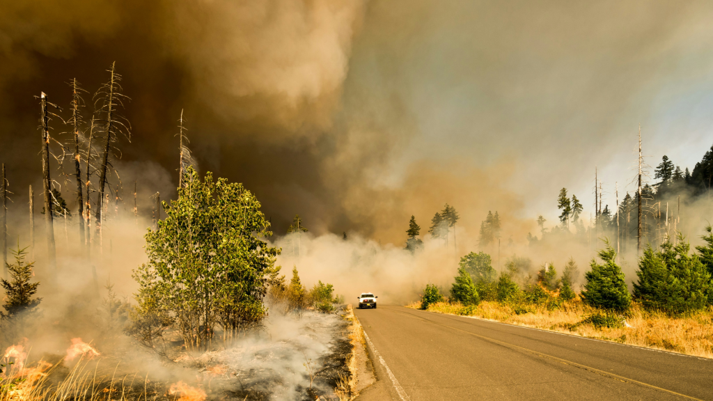 Photo of car driving as a wall of wildfire smoke moves to the road. As heat waves continue, the multihazard climate approach is more critical. Big Fall Creek Road, Lowell, United States. Marcus Kauffman.