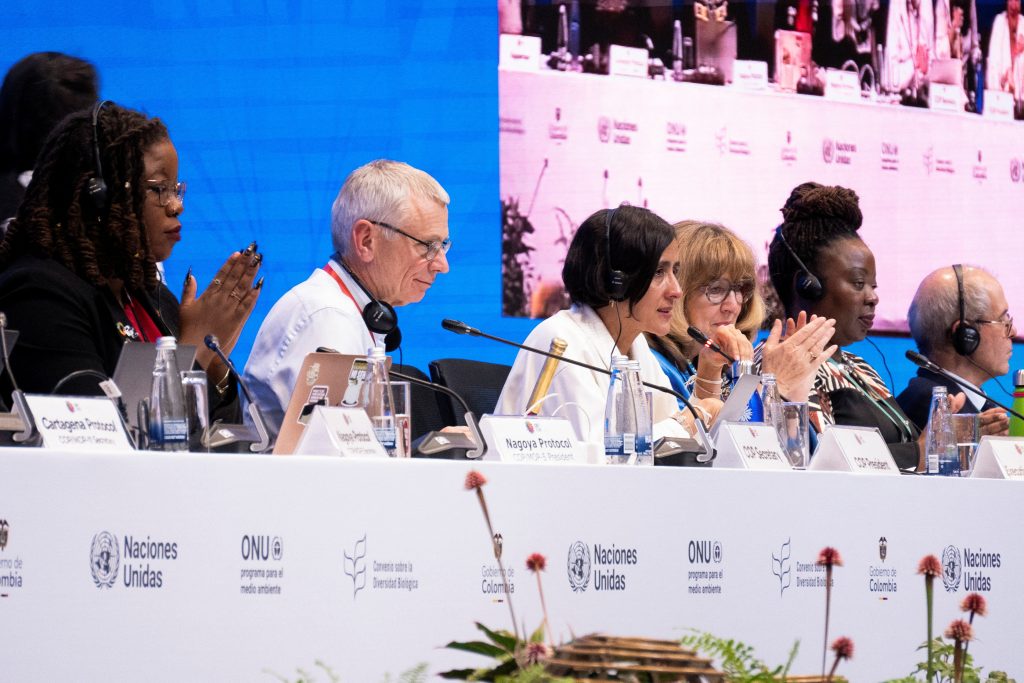 Colombian Environment Minister Susana Muhamad presides over the closing session at the United Nations COP16 nature summit in Cali, Colombia, November 1, 2024. REUTERS/Camilo Rodriguez